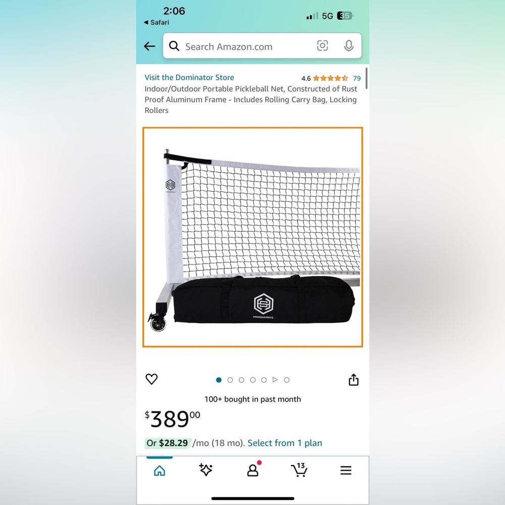 Dominator pickleball net